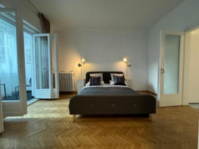 Airy & Beautiful Downtown Apartment